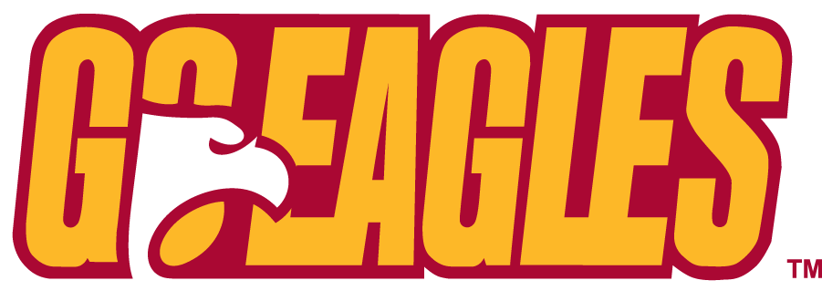 Winthrop Eagles 1995-2017 Alternate Logo diy DTF decal sticker